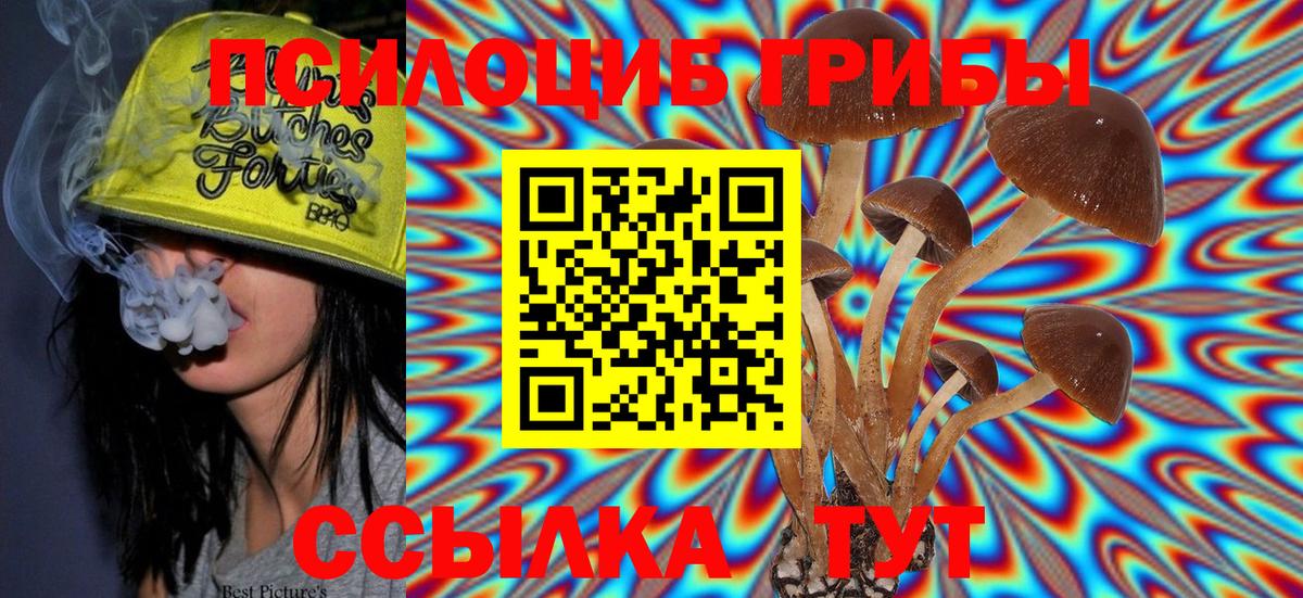 Псилоцибиновые грибы MAGIC MUSHROOMS  Вход с VPN  Алатырь 